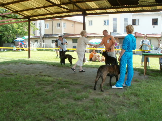 c5)
